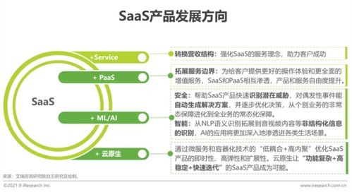2021年中國(guó)企業(yè)級(jí)SaaS行業(yè)研究報(bào)告 工業(yè)互聯(lián)網(wǎng)數(shù)據(jù)服務(wù)的崛起與變革